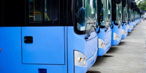Blue tourist buses on parking