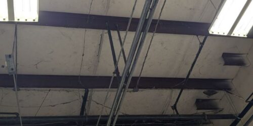 IMG_20250619_114907 IMG_20250619_114907