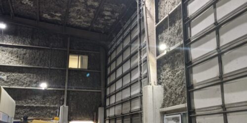 IMG_20250619_115042 IMG_20250619_115042