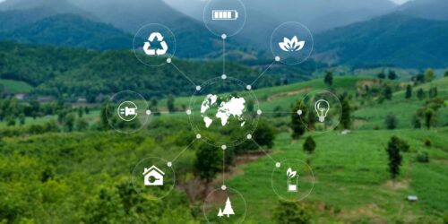 Team Business energy use, sustainability Elements energy sources sustainable